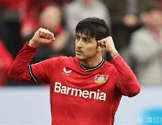 勒沃库森50场不败